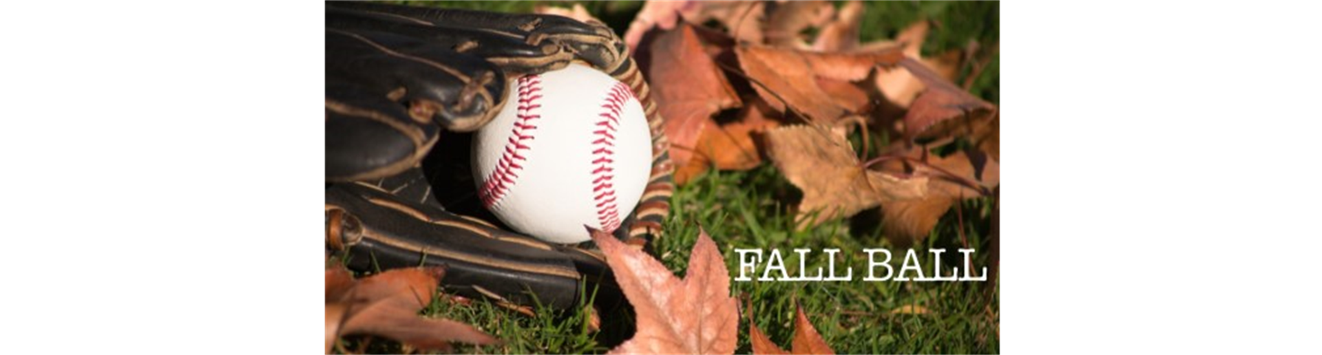 2025 Fall Baseball and Softball Registration is OPEN